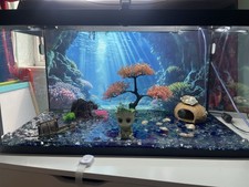 Tetra 105L Fish Tank - Full Aquarium Kit with Accessories and LED Lighting