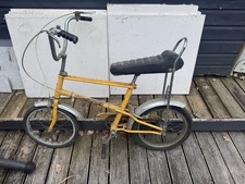 Raleigh Chipper Attic Find 50