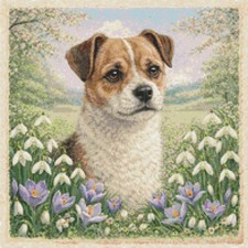 Jug Puppy Dog In Spring Time