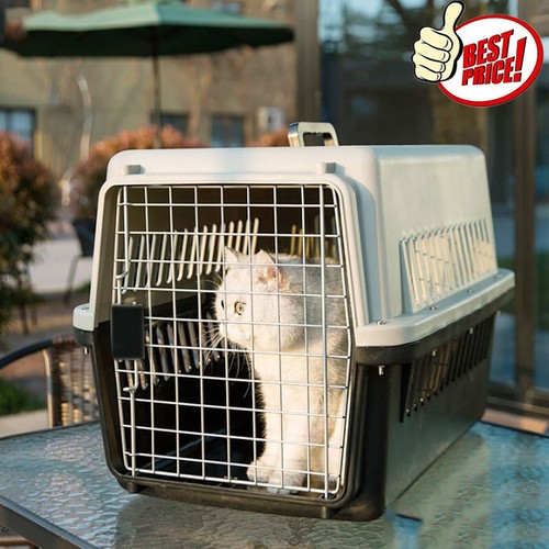 Cat carrier box - carrier,