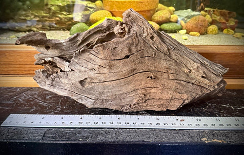 Aquarium driftwood 30cm - aquarium,