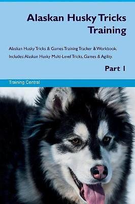 Alaskan husky tricks training - husky,