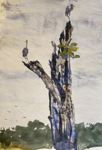 Original watercolour painting - original,