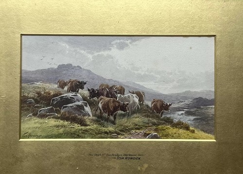 Thomas rowden the - (1842-1926),