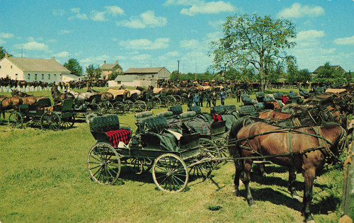 Horse buggies martins old - buggies,