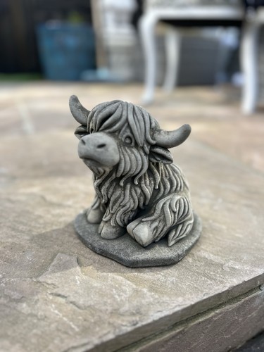 Super cute highland cow - super,