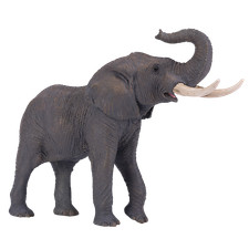 Mojo AFRICAN BULL ELEPHANT