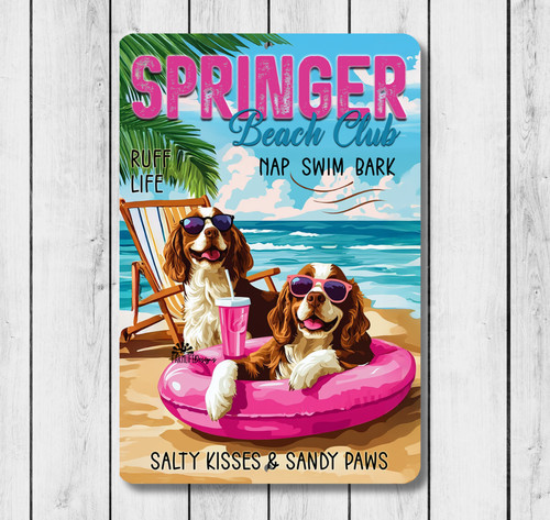 Springer spaniel beach - beach, club