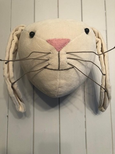 Fiona walker bunny - bunny, animal