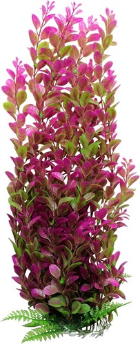 Large green pink - large, leaves