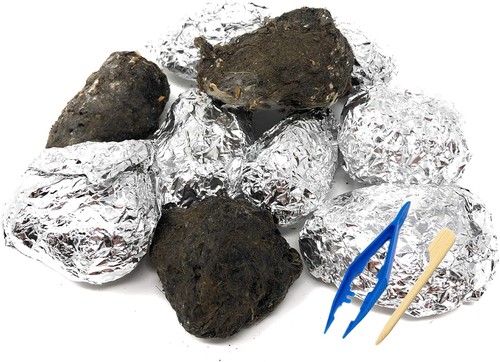 Premium barn owl pellets - barn,