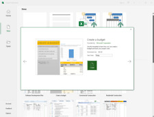 Microsoft Project Professional