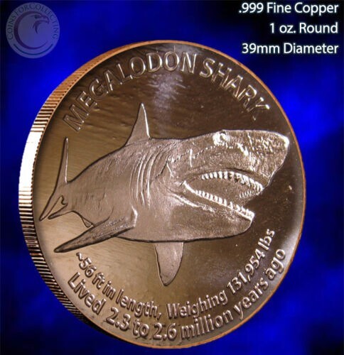 Megalodon shark fine - megalodon,