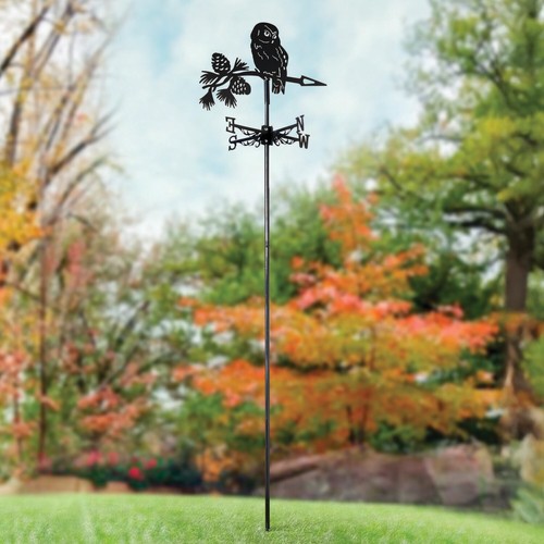 Owl silhouette weather - owl,