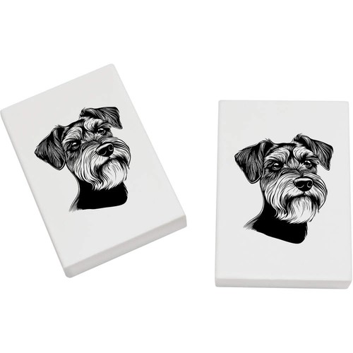 Schnauzer dog portrait - 'schnauzer,