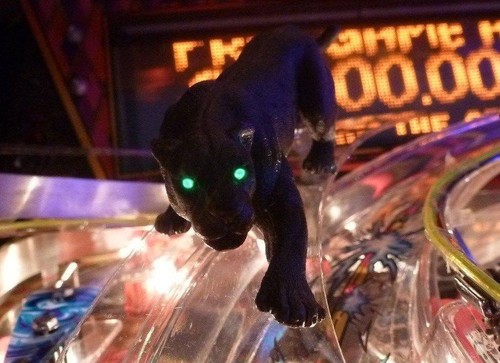 Circus voltaire pinball active - voltaire,