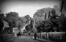 A4 Photo Hampshire Liphook