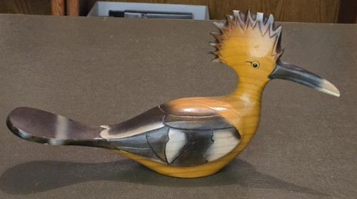 Birds africa collection - birds,