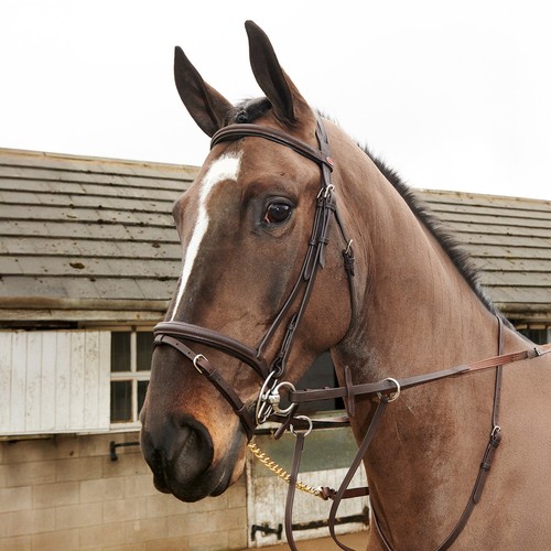 Whitaker ready ride leather - ready,