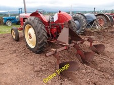 Photo 6x4 Three row potato