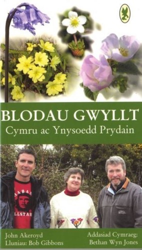 Blodau gwyllt cymru - cymru, ac