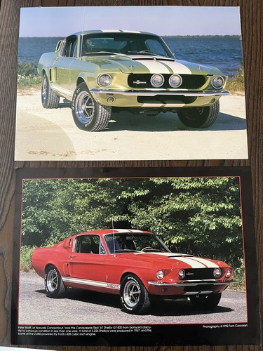1967 shelby cobra gt500 - x,