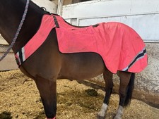 Cob Pink Equisafety Hi Vis