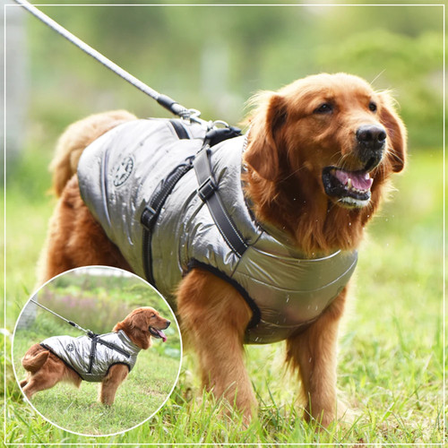 Winter waterproof dog jacket - waterproof,