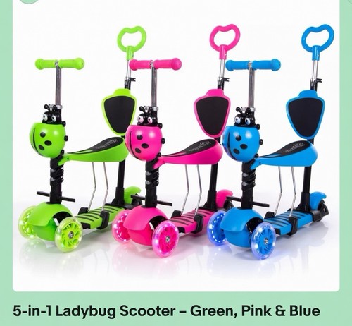 Ladybug scooter with - scooter,