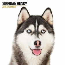 Siberian Husky 2026 Modern
