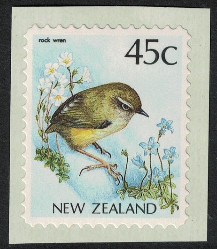 Rock wren bird - bird, self-adhesive