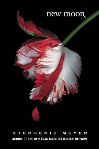 New moon - moon, (the