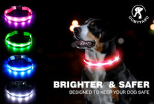 LED Dog Collar Adjustable USB