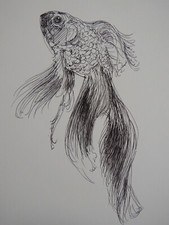 Original Pen & Ink drawing