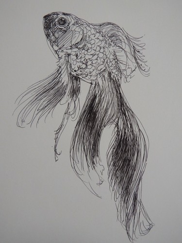 Original pen ink drawing - pen,