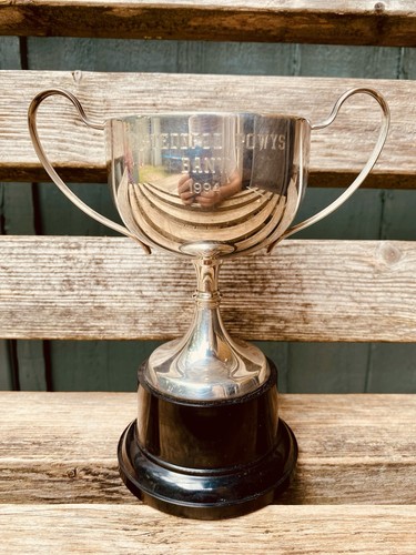 Silver trophy 1994 - silver,