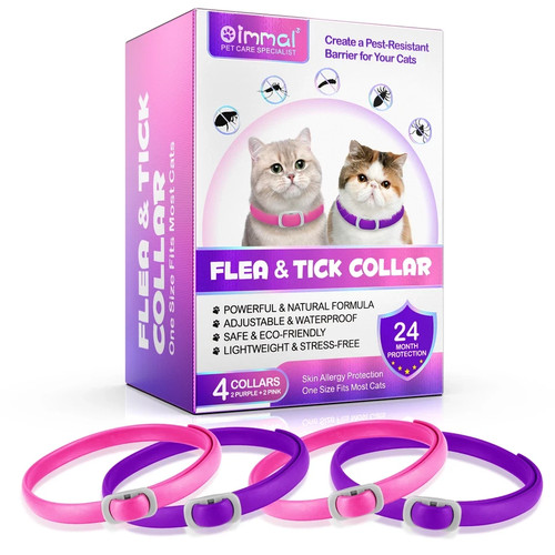 Cat flea tick - flea,