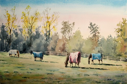 Horses dawn oxfordshire - dawn,