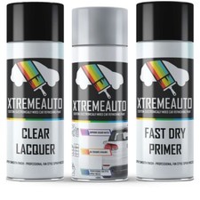Aerosol Spray Paint For VW