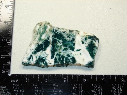 Green tree moss - green, agate