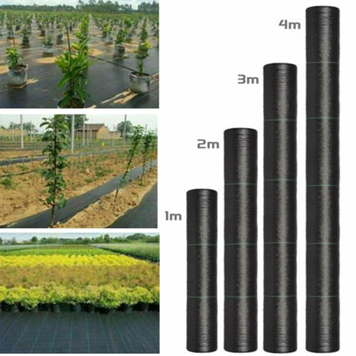10m 25m 50m - 25m,
