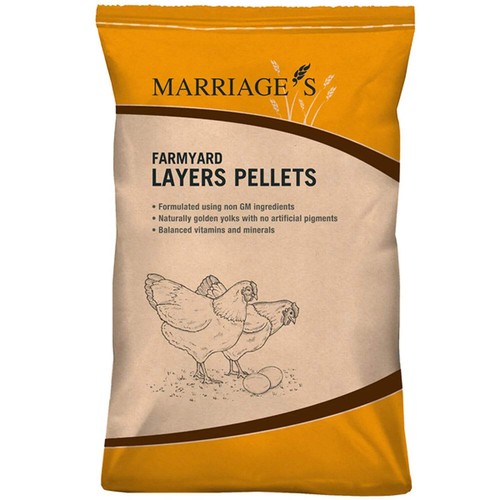 Marriage farmyard layers - marriage’s,