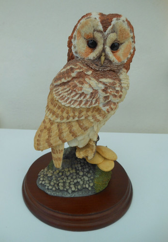 Border fine arts - fine, tawny