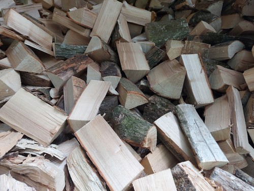 Seasoned hardwood ash logs - ash,