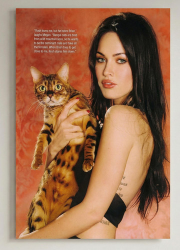 Megan fox y2k - megan,