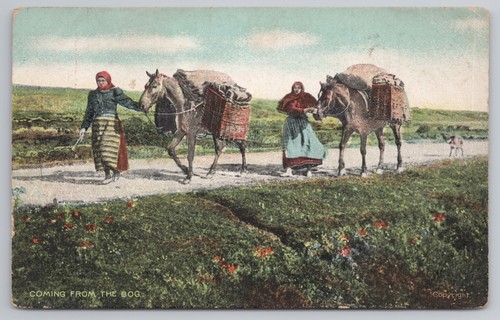 Coming from the bog women - bog,
