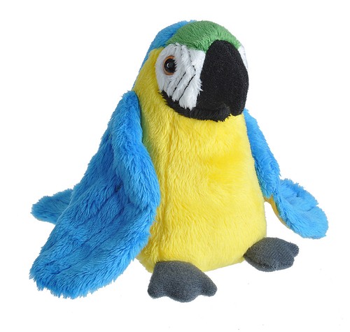 New blue macaw - blue, parrot
