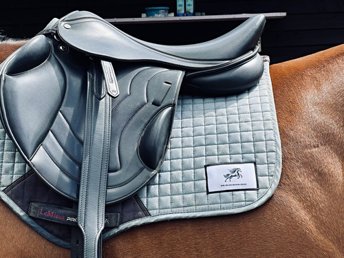 Premier equine black - premier,