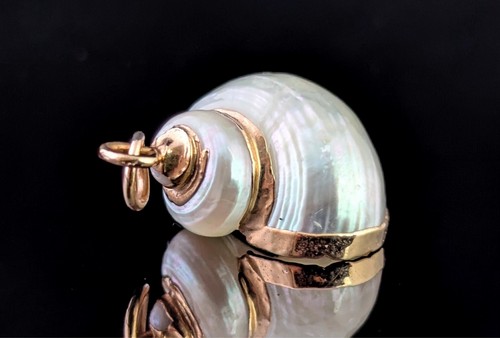 Vintage nautilus shell - vintage,