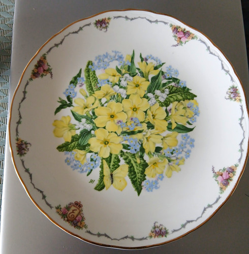 Royal albert primroses - albert,